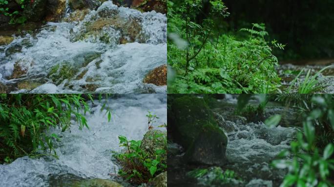 大自然水流溪流空境森林泉水清澈流水