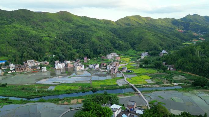 美丽乡村新农村水稻梯田旅游绿水青山银山