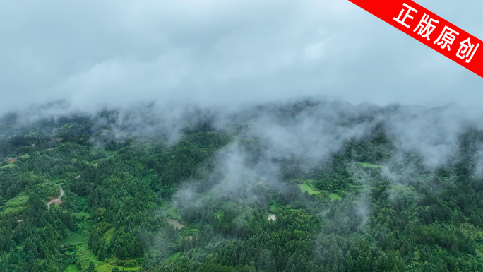 贵州大自然风光绿色生态青山云雾