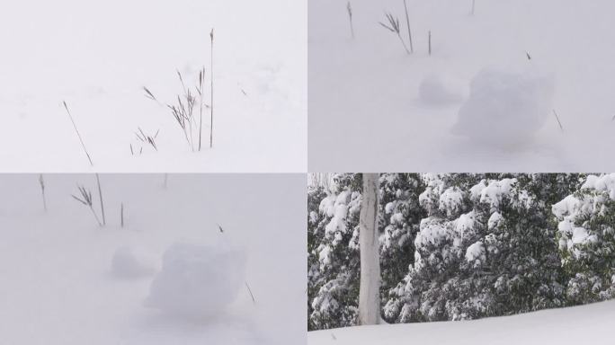 雪景 下雪