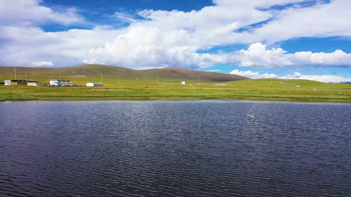 湿地公园 生态园 绿色 植物床 温床