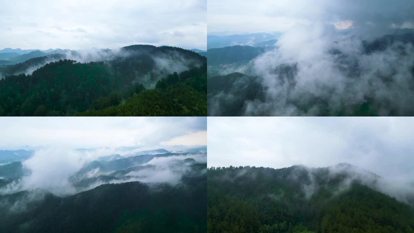 航拍森林云海云雾缭绕仙气飘飘大自然美景雨