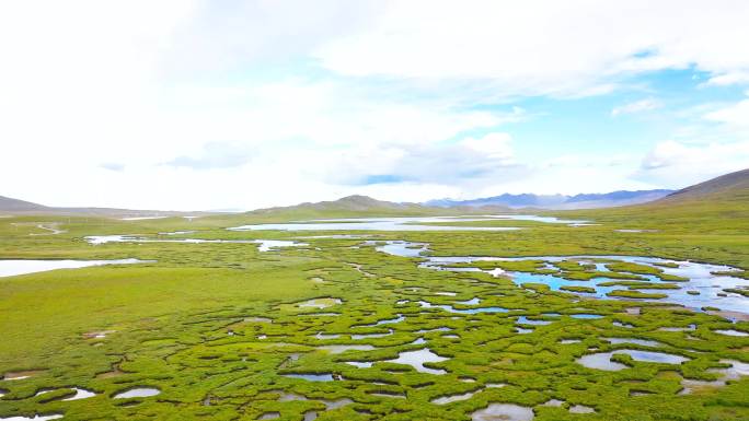 宁静 自然地理 湿地生态公园 湿地公园