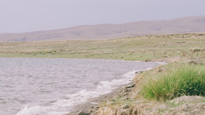 青海湖尕海湖水拍打岸边和湖边的草地