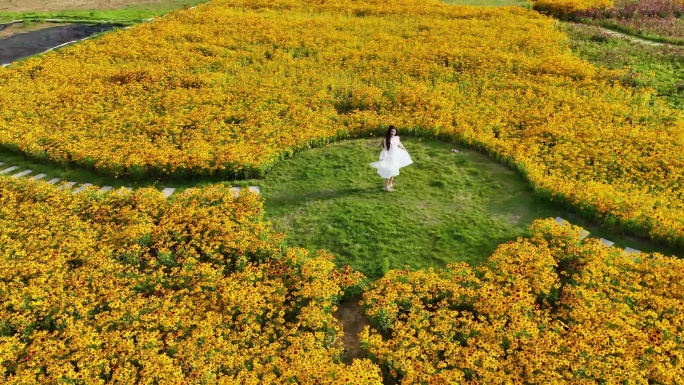 白色裙子女生 走在花海