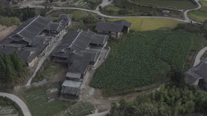 古建 古建群 非遗建筑 闽派建筑 灰度