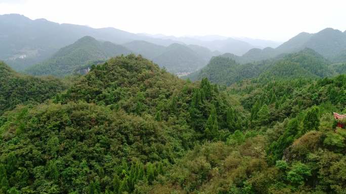 大山森林林业植被氧吧生态环境群山森林