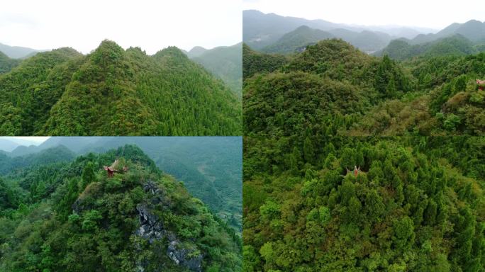 大山森林林业植被氧吧生态环境群山森林