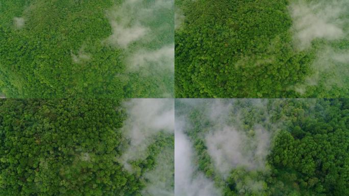 4K绿水青山航拍大自然山水风景森林云雾