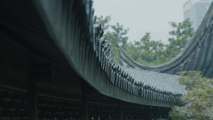 水滴雨水水花意境屋檐雨滴倒影