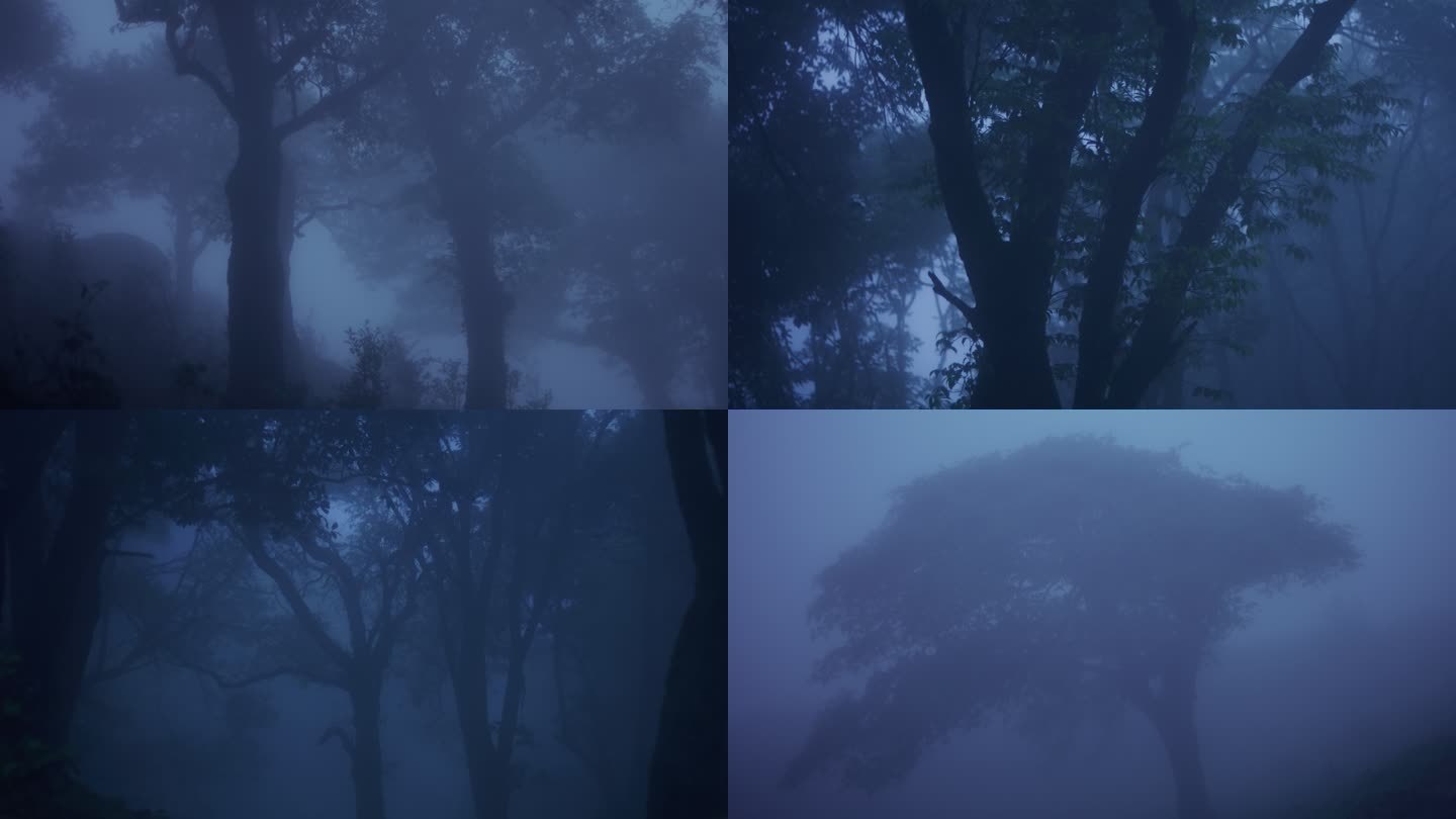 迷雾森林空境黑暗阴森