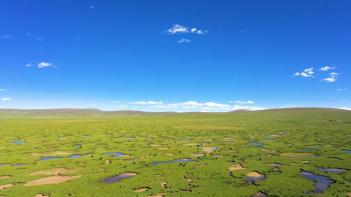 内蒙古草原 草原空气 美丽的草原