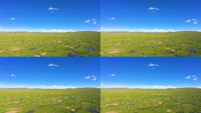 内蒙古草原 草原空气 美丽的草原