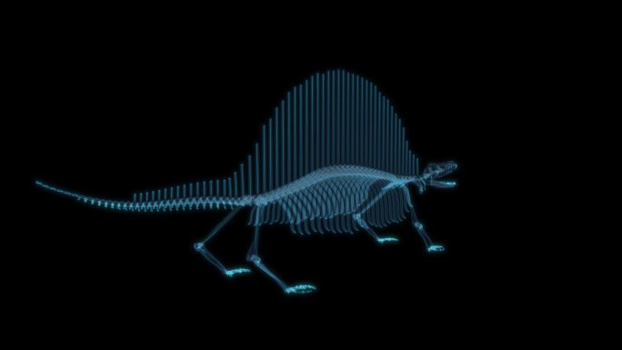 恐龙化石 博物馆史前文明生物动物参观展示