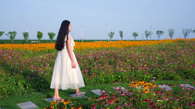 花田 花海 行走在花海