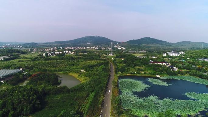 汽车驶入美丽乡村的道路