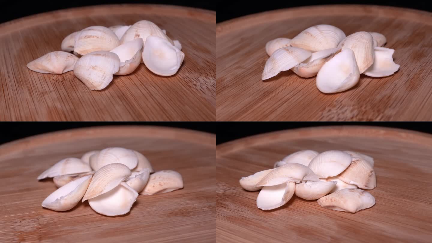 白皮雪蛤文蛤贝壳 (1)