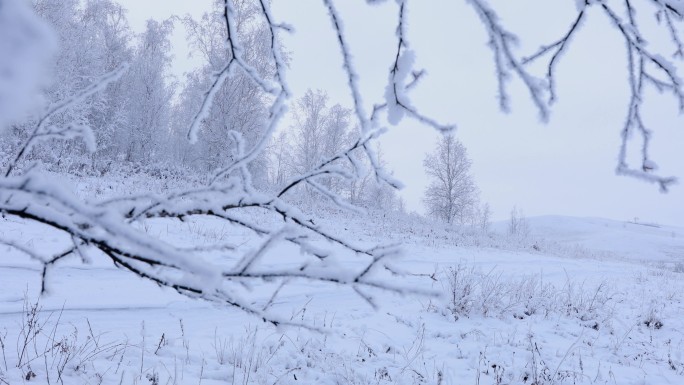 雪地