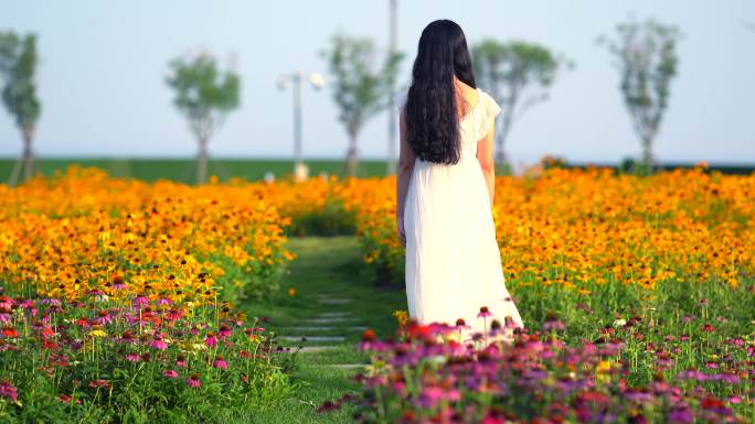 白色裙子女生 走在花海