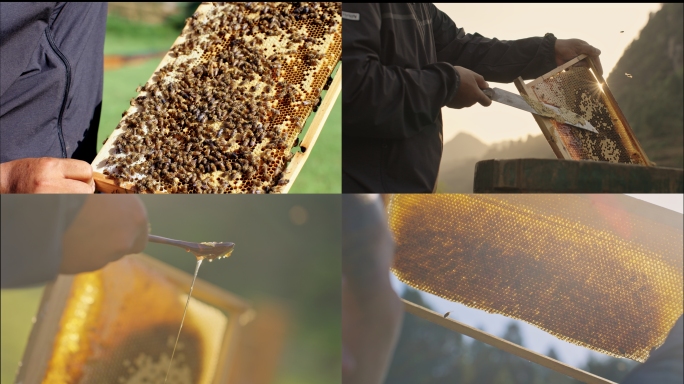 4K采集蜂蜜割蜂蜜（附slog3灰片）