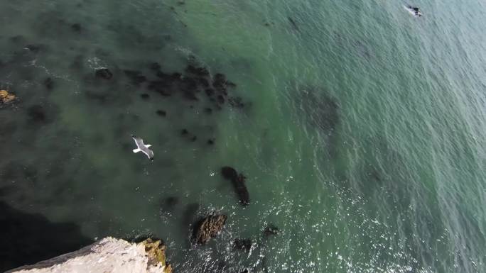 FPV穿越机无人机航拍海浪海滩海岸海鸟飞