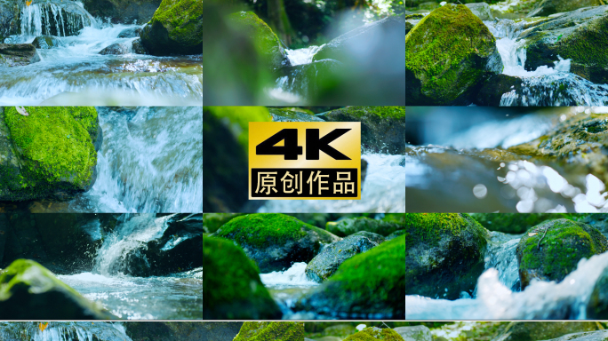 原创4k溪流山泉水河流流水大自然苔藓自然