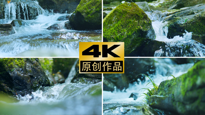 原创4k溪流山泉水河流流水大自然苔藓自然