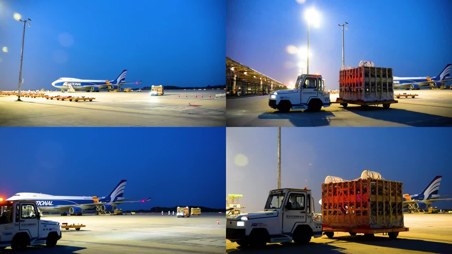 机场飞机货物卸下来运出机场跑道