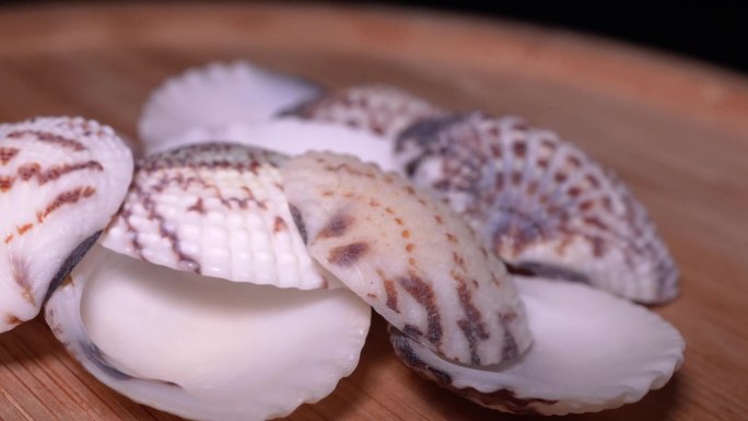 贝壳海沙贝蛤蜊 (3)
