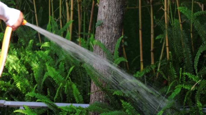 【4k】环卫绿化工人 环卫绿化洒水浇水