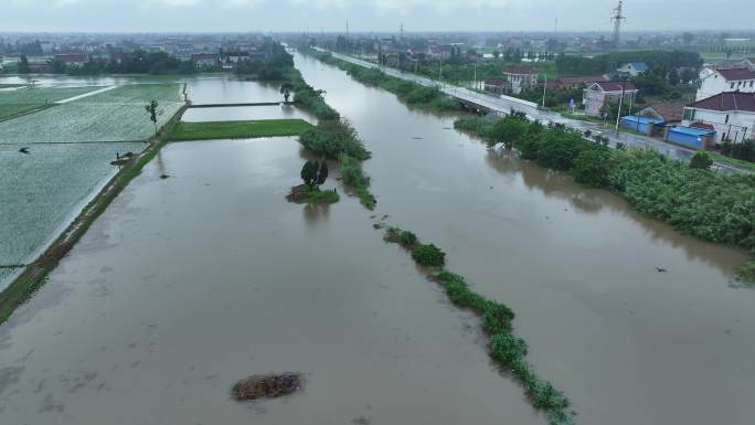 农村河道雨季小河浊水浊水流动浊水航拍素材