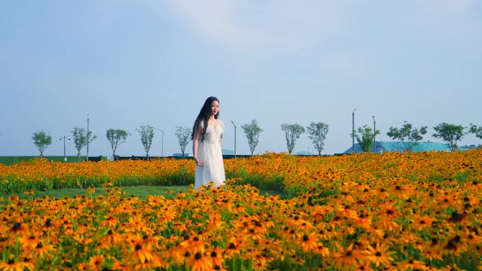 白色裙子女生 走在花海