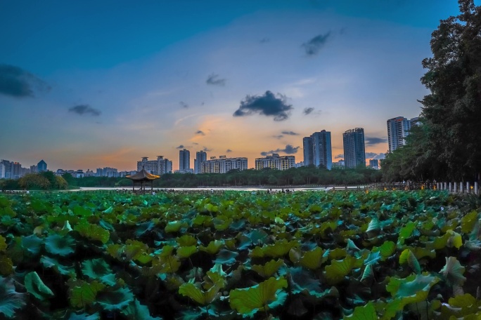 南湖公园南宁市地标移动延时日转夜