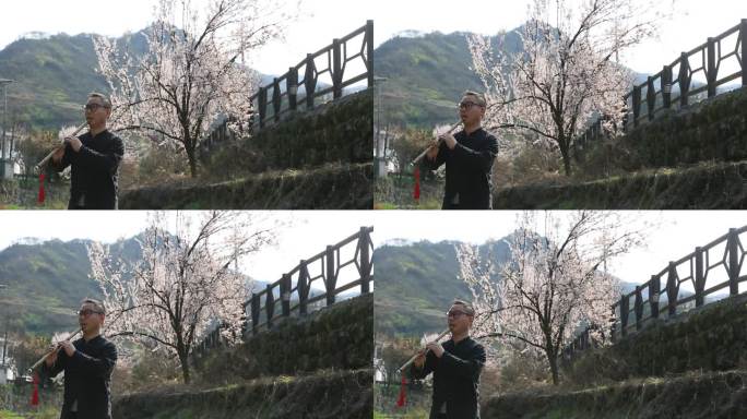 春天樱花小溪年轻人吹传统竹箫洞箫实拍素材