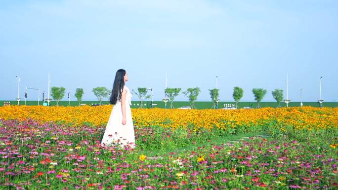 白裙女孩行走在花海 白色裙子