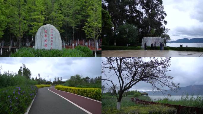 滇池星海半岛生态湿地公园