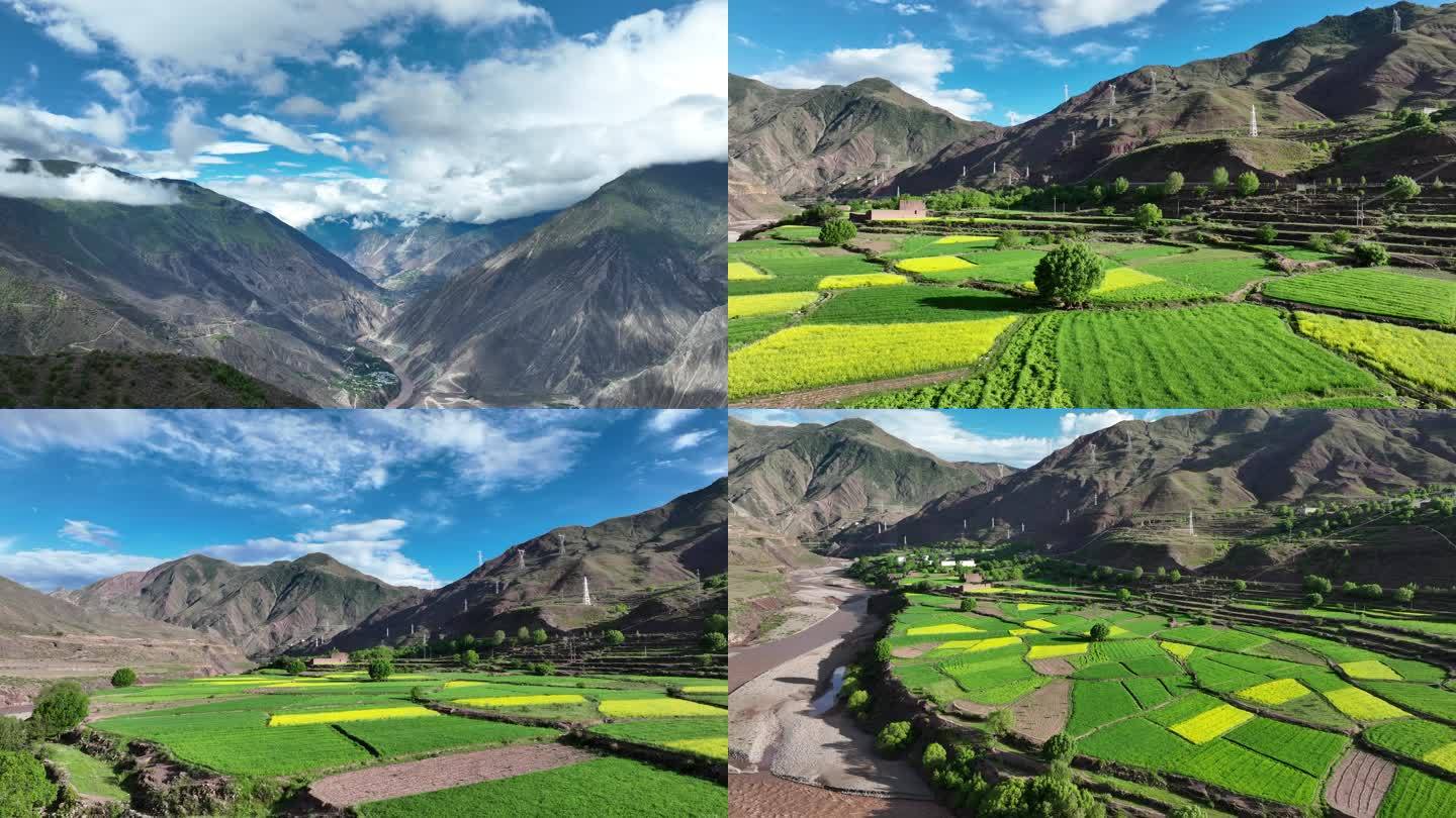 西藏自然风景大山青稞田