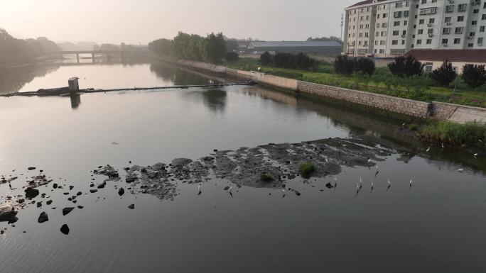 航拍晨光中的威海市环翠区羊亭镇羊亭河