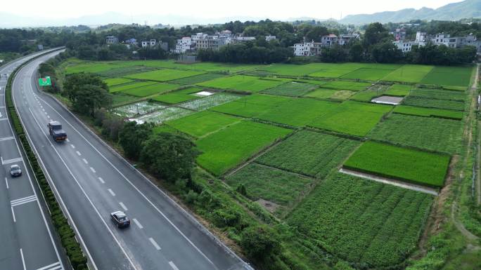 稻田  高速公路宣传片