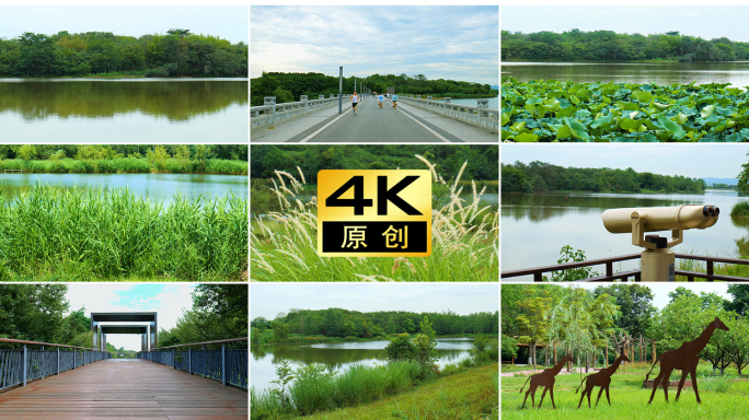 成都青龙湖生态湿地公园