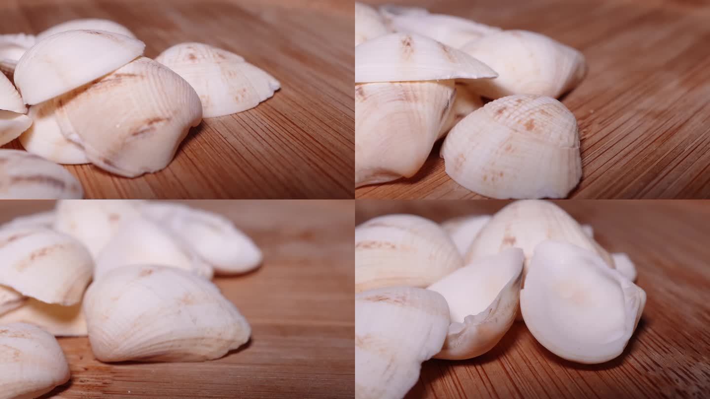 白皮雪蛤文蛤贝壳 (3)