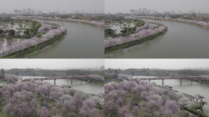 广州海珠湿地公园航拍