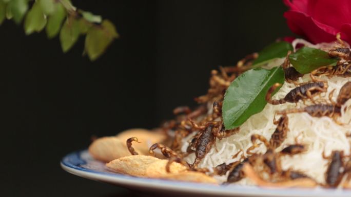 蝎子药膳美食营养厨师烹饪菜