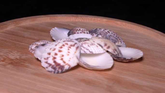 贝壳海沙贝蛤蜊 (2)