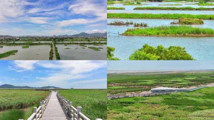 福州闽江河口湿地公园