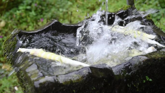 竹笋7月笋加工笋干农民生活农业经济