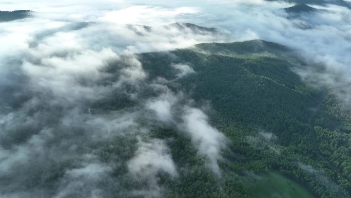 航拍辽阔青山森林云海