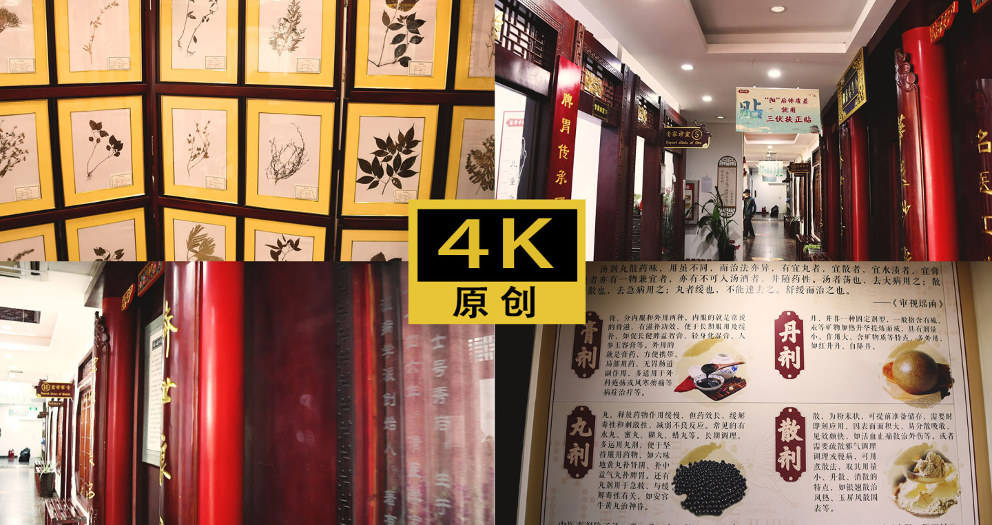 药材标本展示