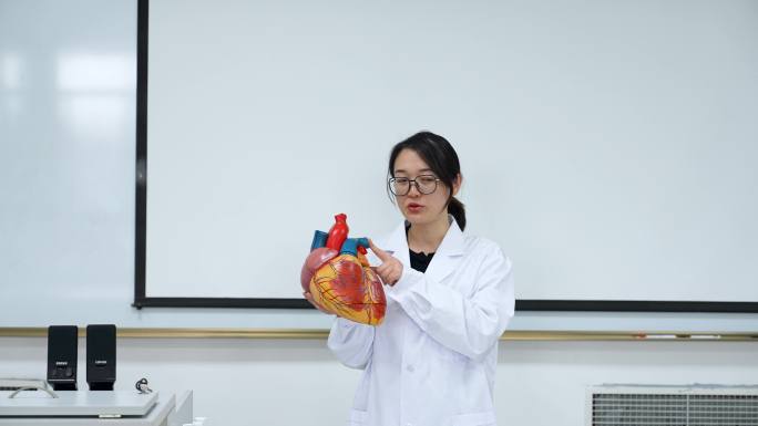 大学老师拿着心脏模型讲解人体的奥妙