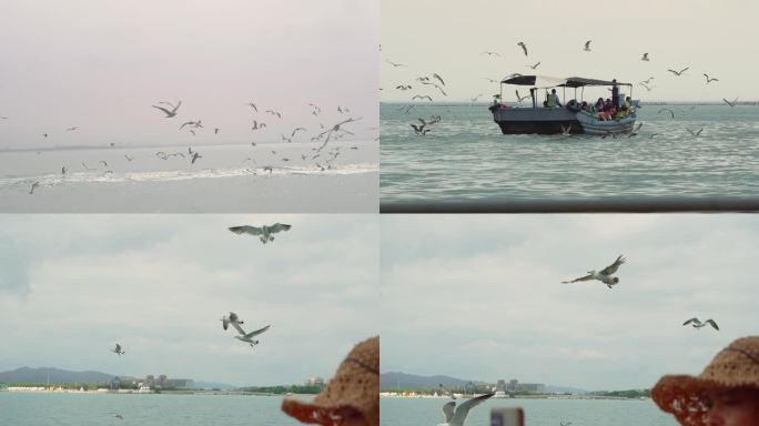 海鸥渔船